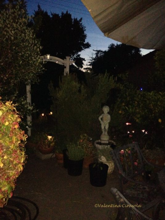 Giardino Notte