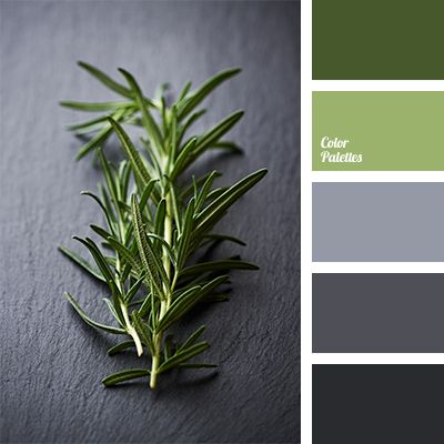 GreenGrayPalette