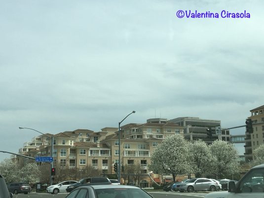 New Buildings Cupertino