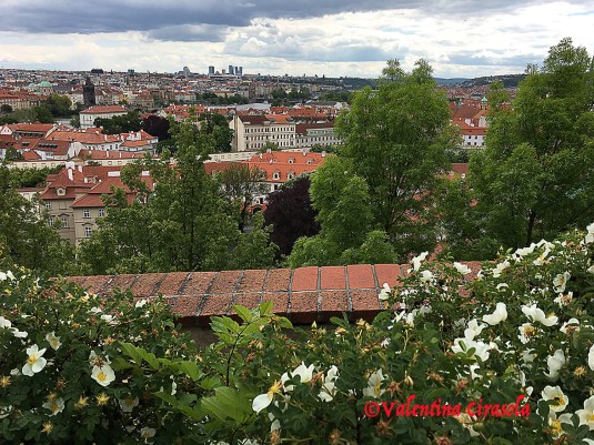 Prague - Red Roofs
